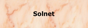 Solnet.pdf